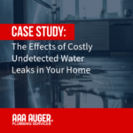 The Effects of Costly Undetected Water Leaks in Your Home