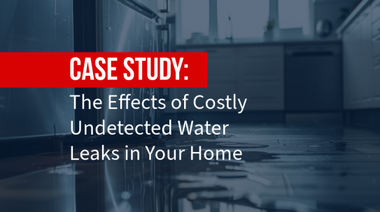 The Effects of Costly Undetected Water Leaks in Your Home