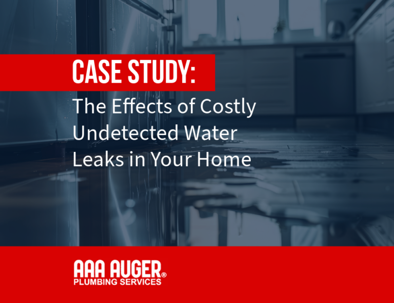 The Effects of Costly Undetected Water Leaks in Your Home