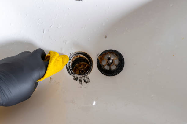 Why You Might Need Professional Drain Cleaning Service Irving TX and How to Get It