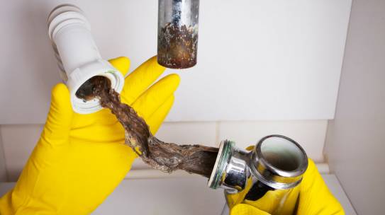 Drain Cleaning, Allen TX: Why You Need This Service & How to Find the Best One